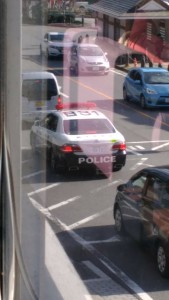 栃木県警様。いくら渋滞してるからって停車禁止枠内に停車しちゃダメです。